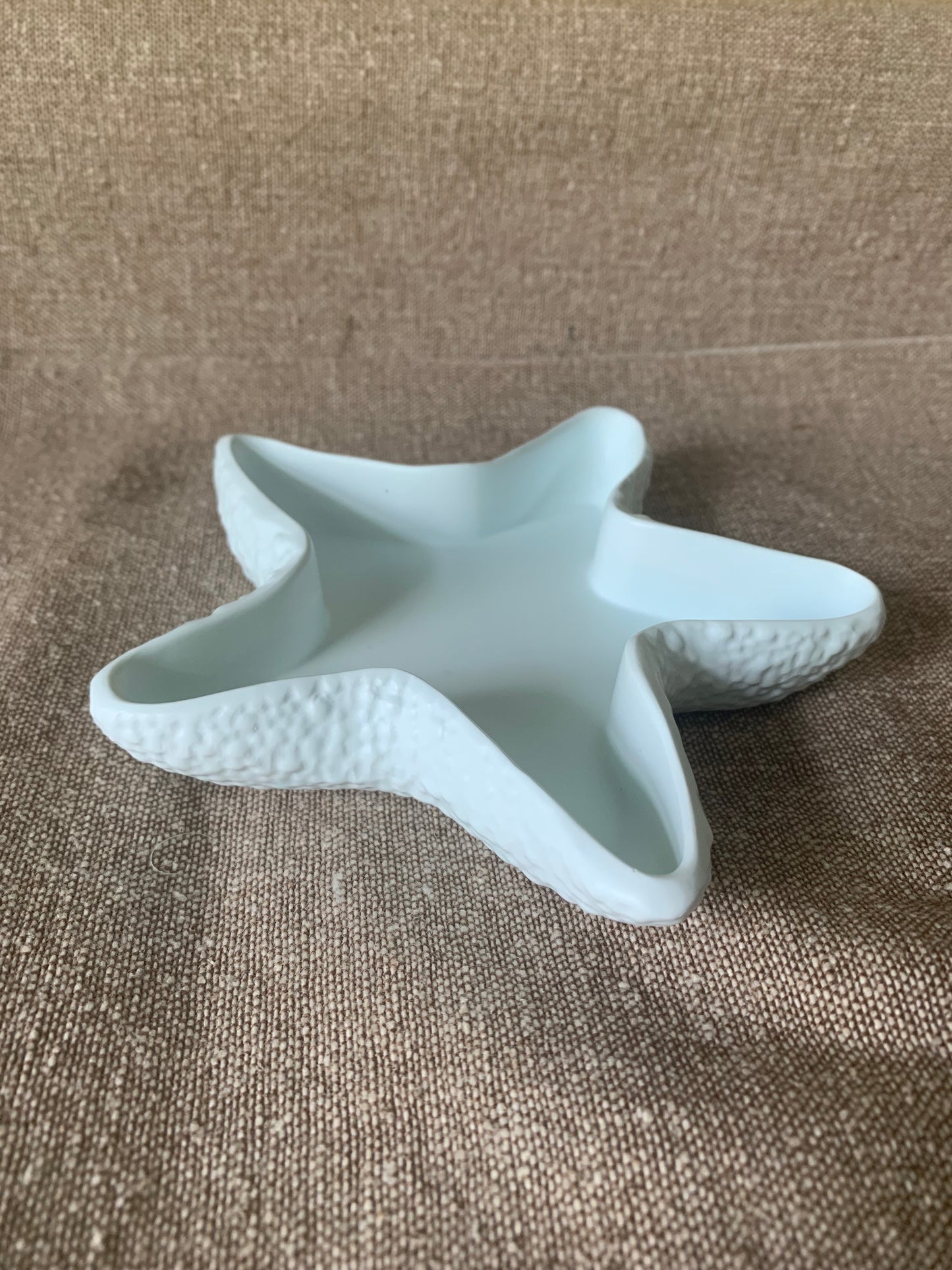 Starfish dish